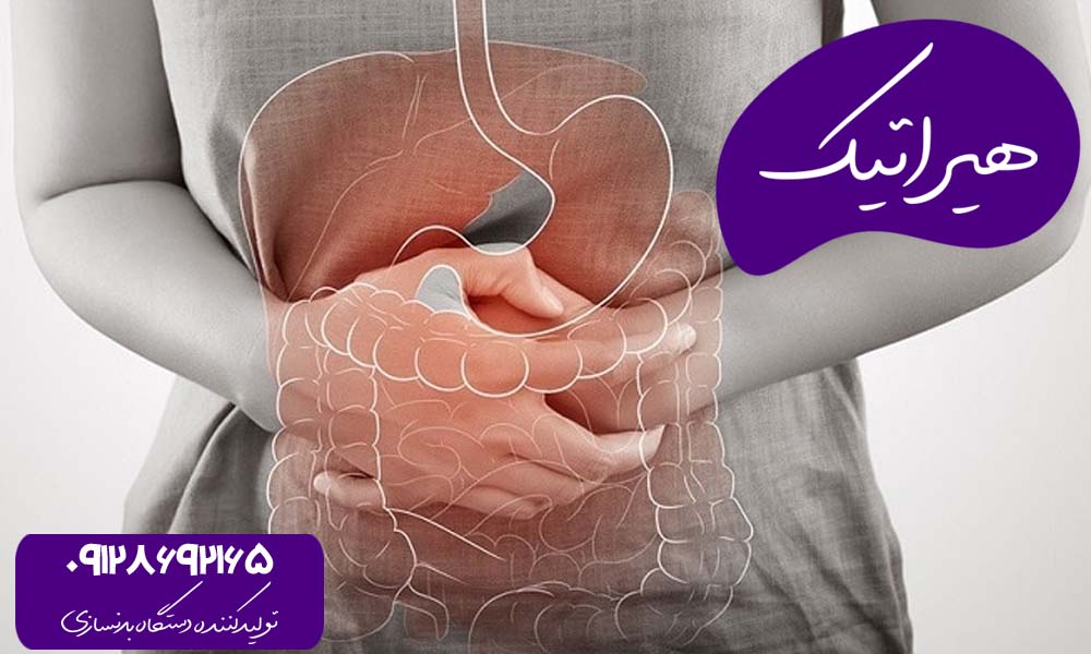 عوارض مصرف بیش از حد پروتئین بر روی دستگاه گوارش