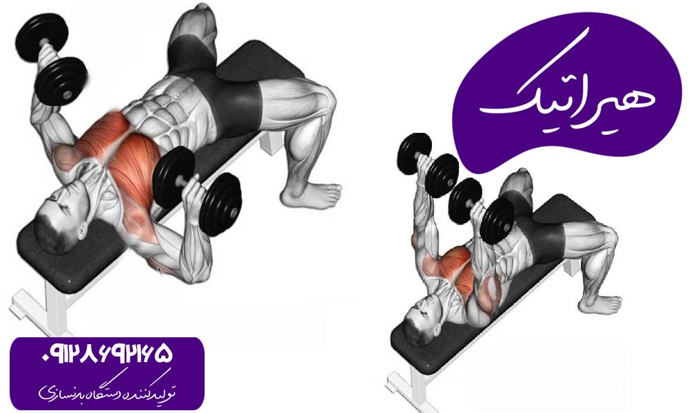 یادگیری فرم صحیح حرکات بدنسازی