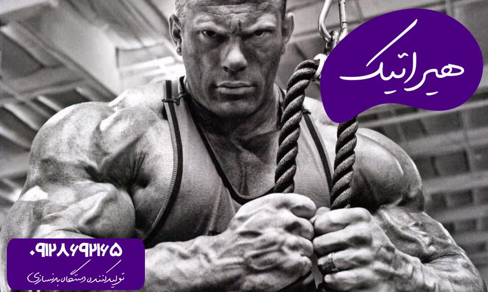 دنیس ولف کیست؟