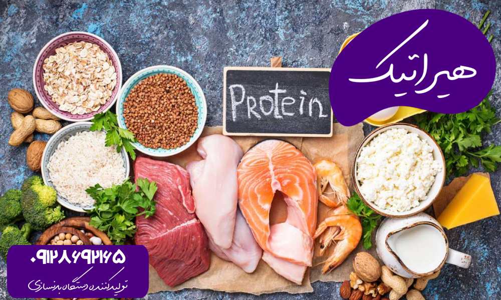 منابع پروتئین برای بدنسازان