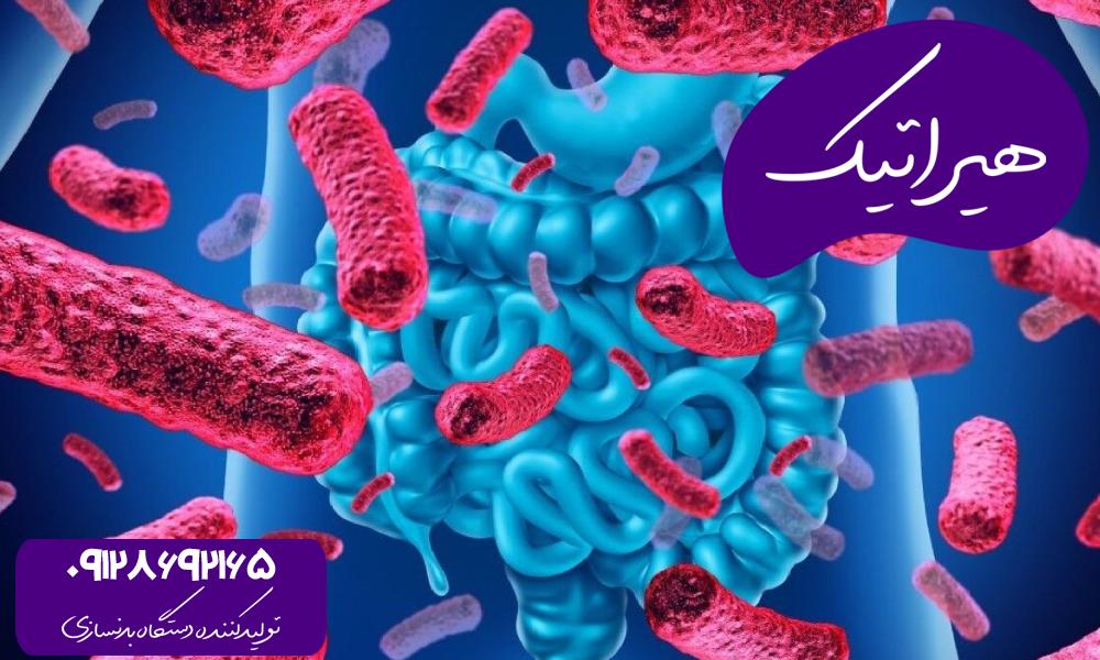 تاثیر پروبیوتیک در ورزش