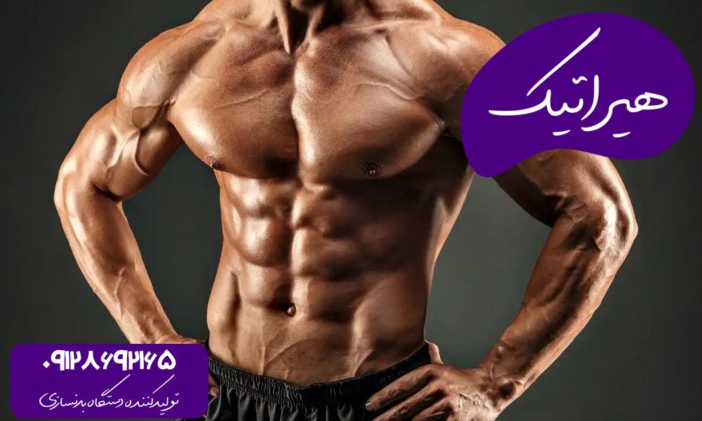 چربی سوزی با پروبیوتیک